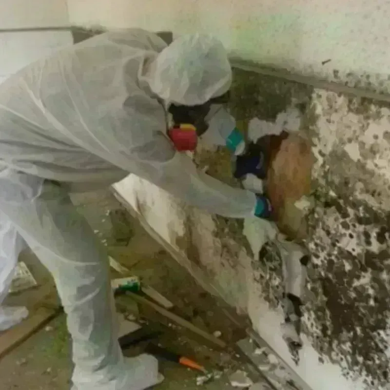 Mold Remediation and Removal in Pottawatomie County, OK