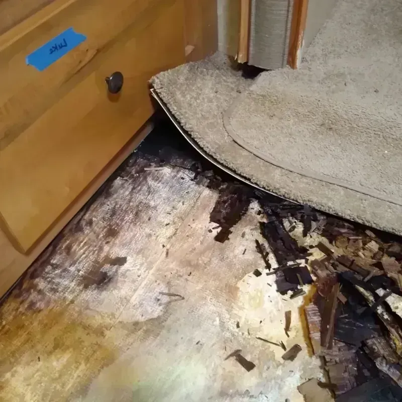 Best Wood Floor Water Damage Service in Pottawatomie County, OK